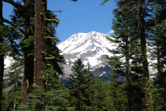 Mystical, Magical, Mt. Shasta, Northern California